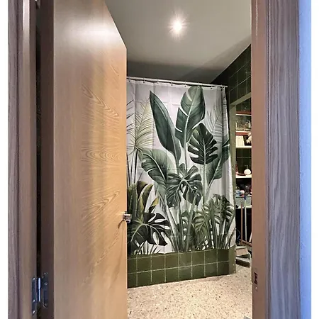 Modern & Sunny קלפה